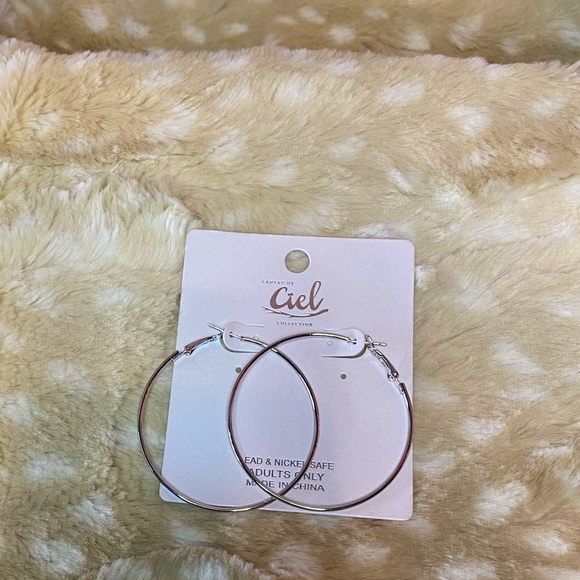 Dani Silver Hoop Earrings - Picture 1 of 3